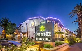 Lemon Tree Hotel And Suites